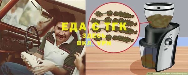 индика Гусь-Хрустальный