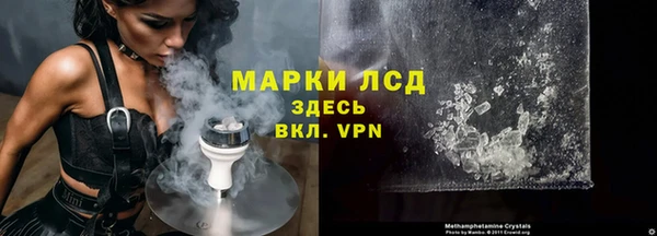 индика Гусь-Хрустальный