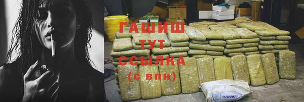 индика Гусь-Хрустальный