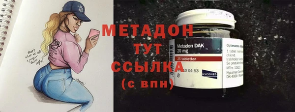 индика Гусь-Хрустальный