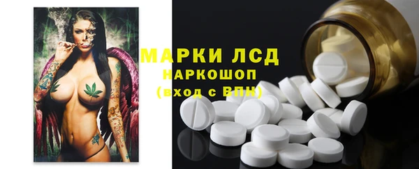 индика Гусь-Хрустальный