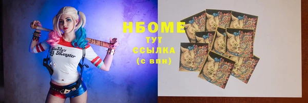 индика Гусь-Хрустальный