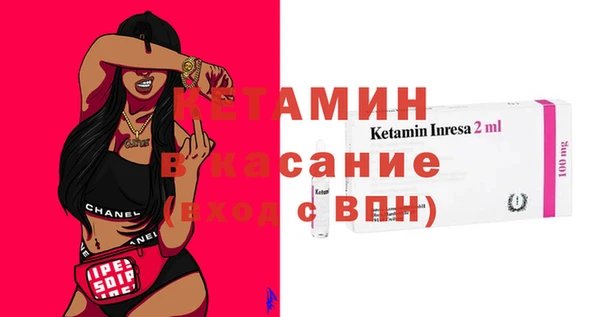 индика Гусь-Хрустальный