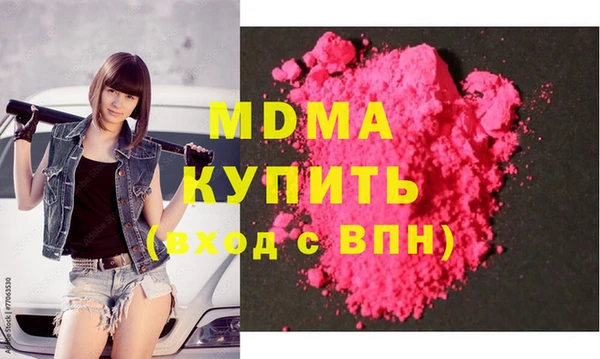 индика Гусь-Хрустальный