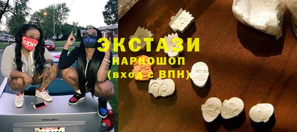 индика Гусь-Хрустальный