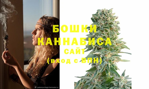 экстази Гусев