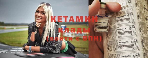 индика Гусь-Хрустальный
