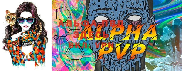 индика Гусь-Хрустальный