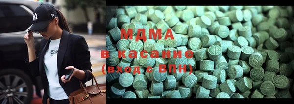 индика Гусь-Хрустальный